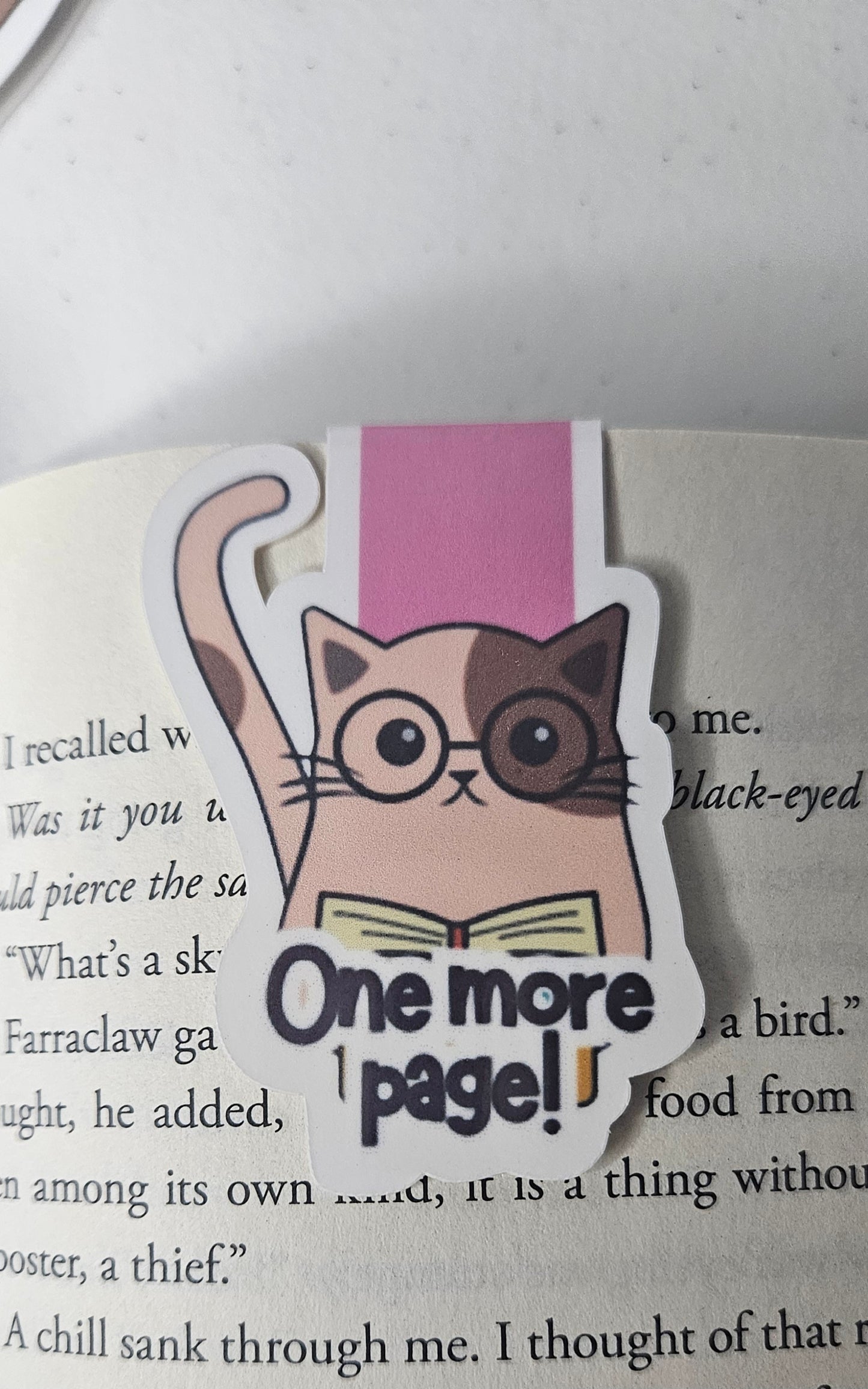 Marque-pages magnétiques mignons